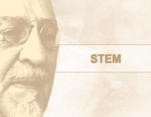 STEM - V.Nazor